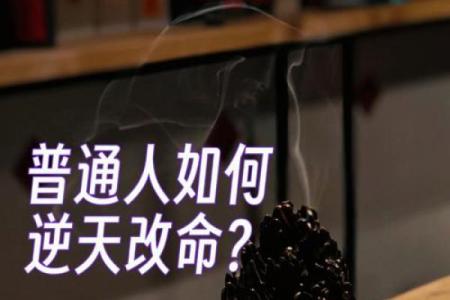 壬水命人的职业选择：适合你的工作之路