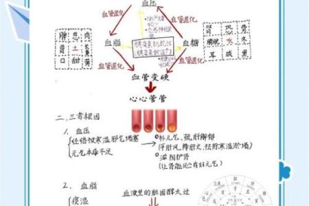 解密女命日支月支相害：命理中的因果与和谐之道