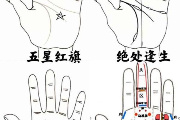 揭秘手纹的奥秘：如何通过手纹看命运好坏？