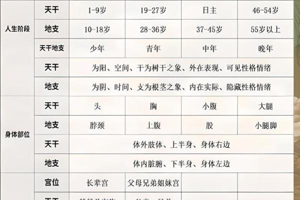 男命时柱学堂：解密时辰对命运的深远影响