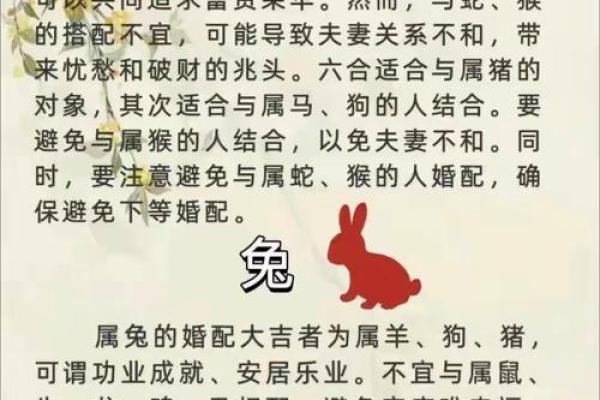 属相与属命的深刻关联：解读八字背后的命运奥秘