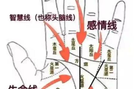 揭秘手纹的奥秘：如何通过手纹看命运好坏？