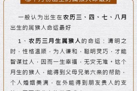 猴年30岁属猴人的命运分析与人生建议