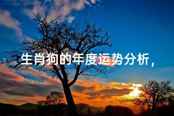 平地女命在狗年中的运势解析与生活指导