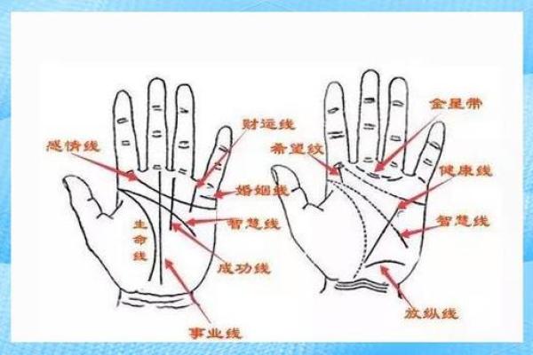 女人求严嵩不信命：探寻命理的奥秘与人生的选择
