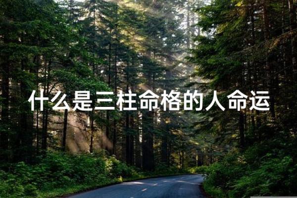 如何查自己是什么命格男生，揭开命运之谜的秘密！