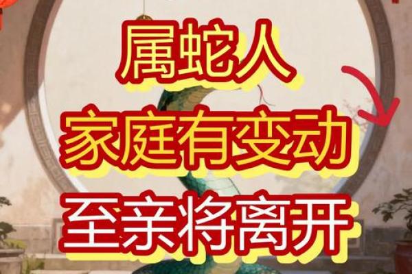 属蛇龙出雾：揭开命运密码的神秘面纱
