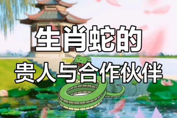属蛇猪拱槽：揭秘这对生肖组合的命运之道与人生精彩