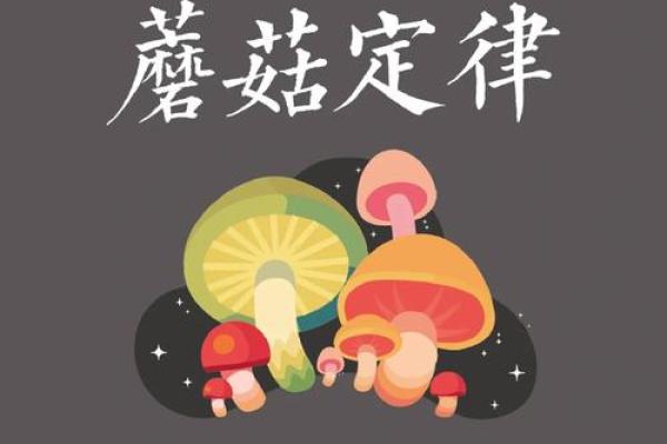 蘑菇命的秘密：如何改变人生的方向？