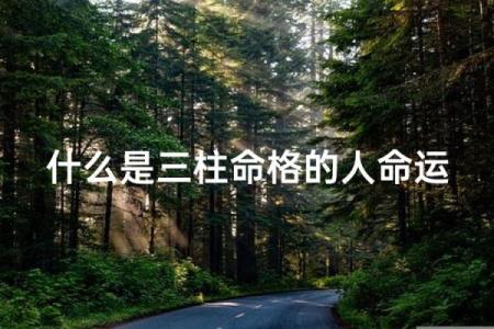 如何查自己是什么命格男生，揭开命运之谜的秘密！