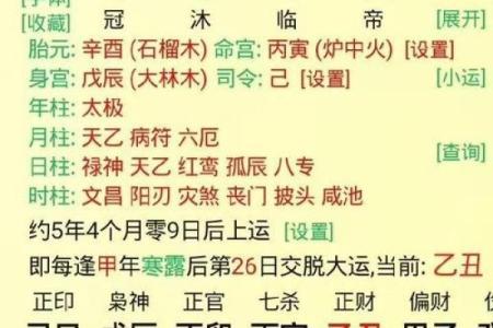 男命婚姻宫巳火：探索命理中的爱情之火与婚姻运势