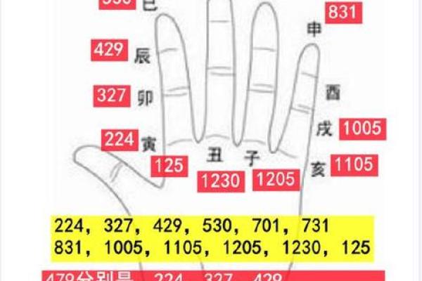 如何查看自己的命格：女性命运的解读与探索