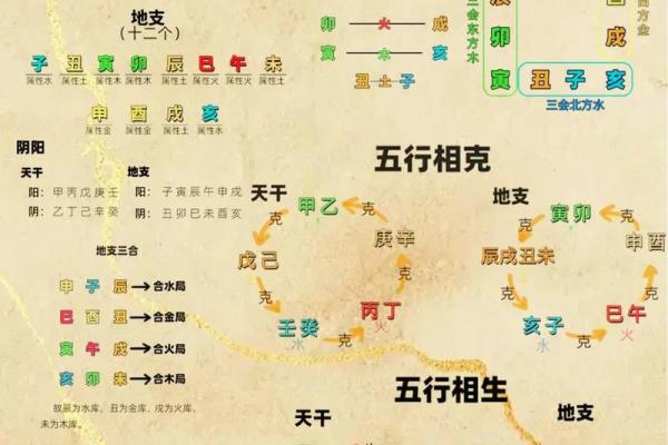 龙年出生的人：五行中的木命解析与魅力