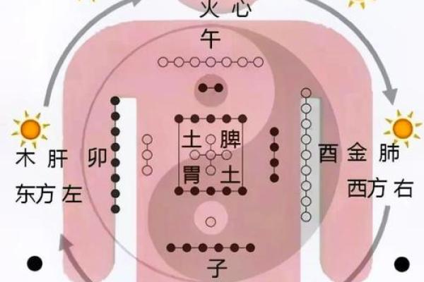 桑拓木命与搭配命格的奇妙关系探秘