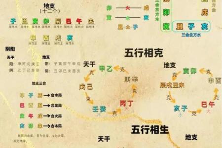 龙年出生的人：五行中的木命解析与魅力