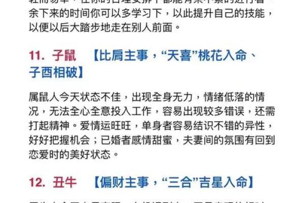属鼠宝宝命理解析：最佳命格与成长之道