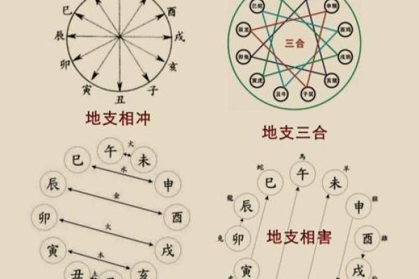 乾命与坤命：深入探讨人生的两种命理象征