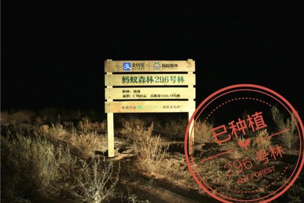 森林木命与财富的奇妙结合：寻找金、水的合作之道