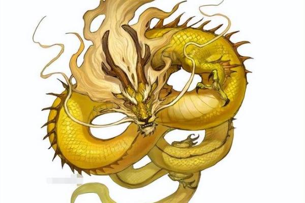 42岁属龙的人命运揭秘：岁月轮转与人生哲学