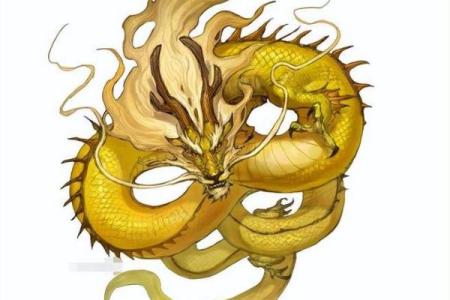 42岁属龙的人命运揭秘：岁月轮转与人生哲学