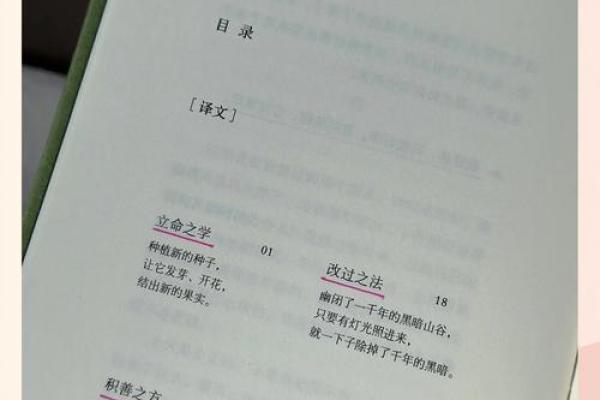 如何用以命换命的方法改变命运：深度解读与实践指南