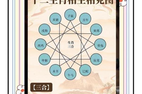 揭秘水命之人：年龄与属相的深刻联系