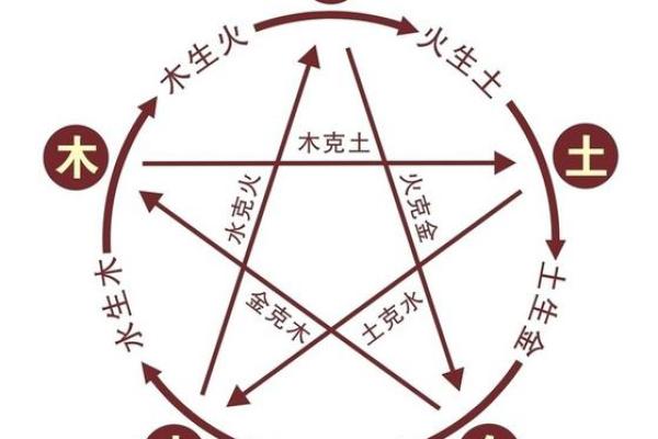 1997年属虎人命理解析：勇敢与智慧的双重荣耀