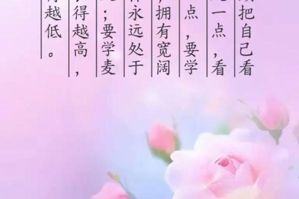 人人都有的命：探寻平凡与伟大的交汇点