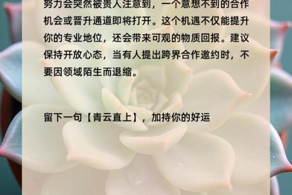 根据命理选择植物:为你的生活增添生机与好运 根据命理选择植物:为你的生活增添生机与好运