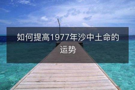 沙中土命与犯科命的深度解析：命理交错下的人生选择