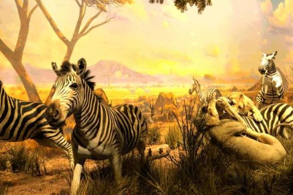 木命与生意伙伴搭配指南：探索最佳合作关系的秘密