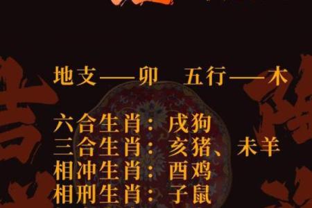 属兔6月出生男孩命运解析：性格、事业与人生机遇