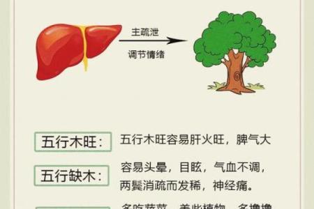 揭秘男木牛命：五行缺什么，如何调整人生运势