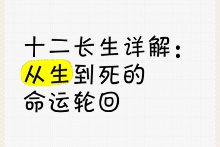 前世命运的隐秘数字：探寻灵魂的轮回旅程