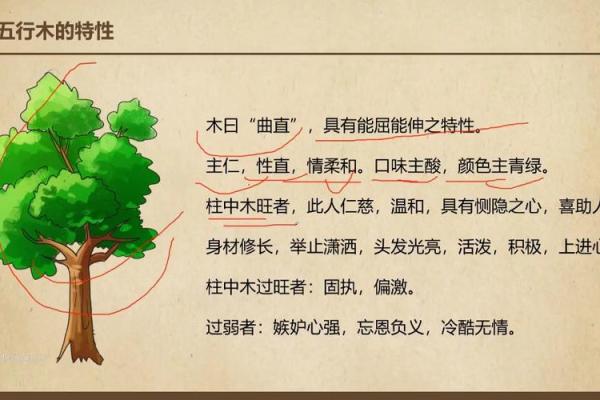 了解木命之人：适合的木材和其独特魅力