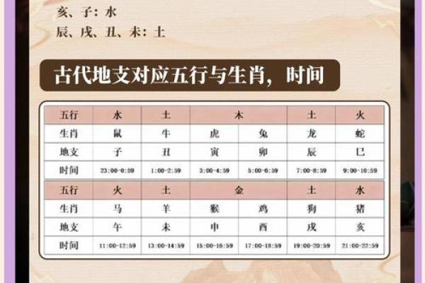 如何判断你的五行属相，揭开命运的神秘面纱