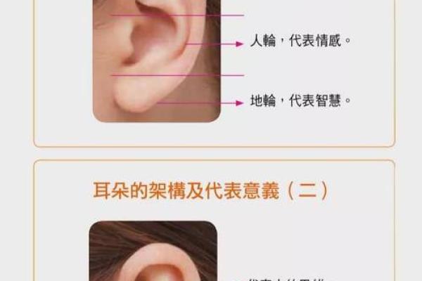 揭秘“泽”字的命格与人生智慧——从汉字看命运之道