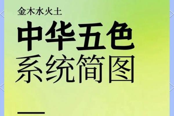 属木命的人应忌的颜色与风水调和之道