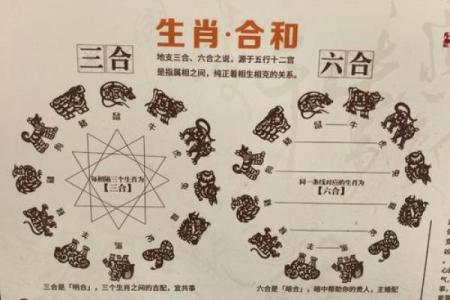 属马蛇晒日的命理解析与人生启示