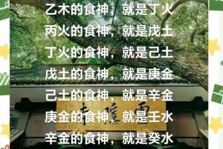 男命四个食神与人生的深刻隐喻