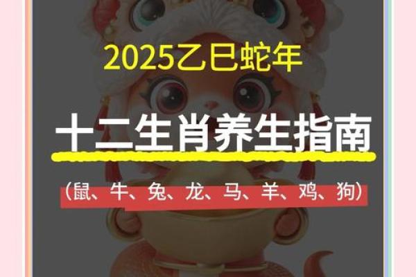 属蛇人出生年份解析：揭示你的命运与性格特征