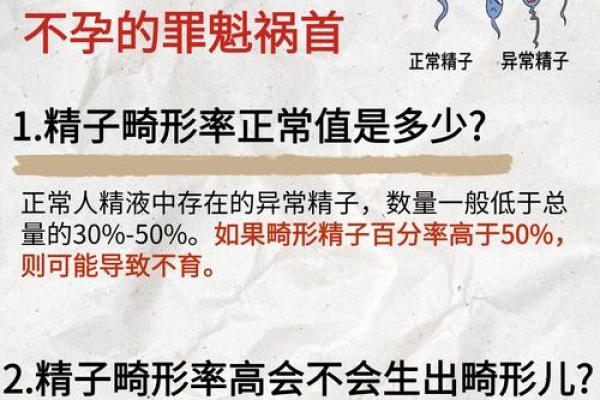 哪些男命会损子？透析命理中的子嗣问题与解决之道