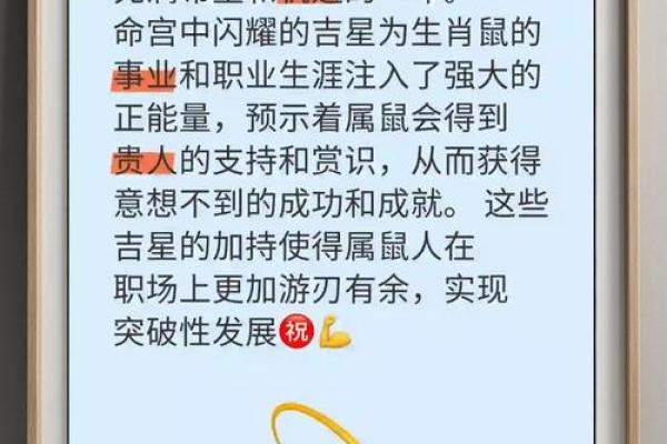 揭开鼠年命理的神秘面纱：从性格到运势全面解析