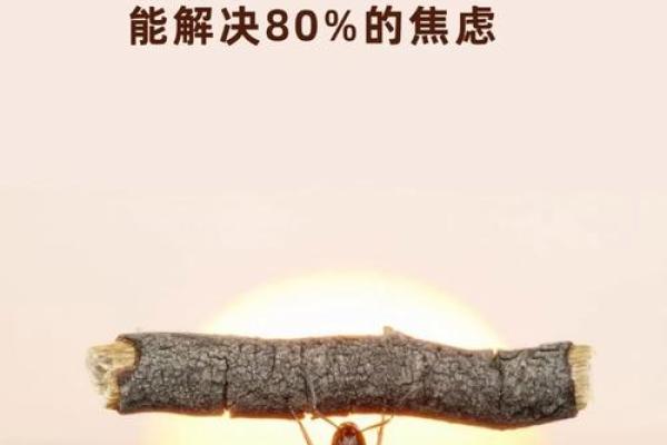 如果人有9条命，生活会变成什么样子？一场关于命运的新探索！