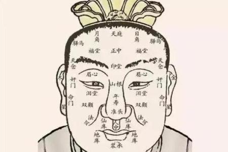 金命女子的面相特征与命运解析