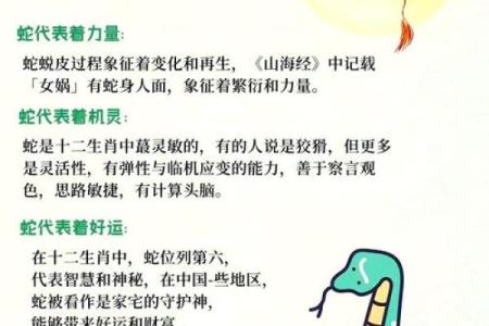 属蛇人出生年份解析：揭示你的命运与性格特征