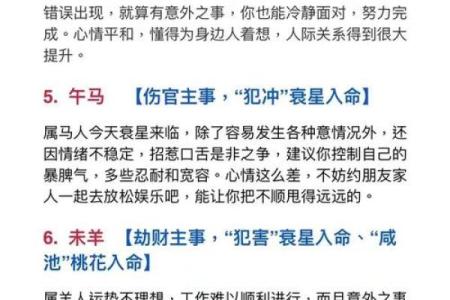 属鼠金命：命理分析与运势提升策略