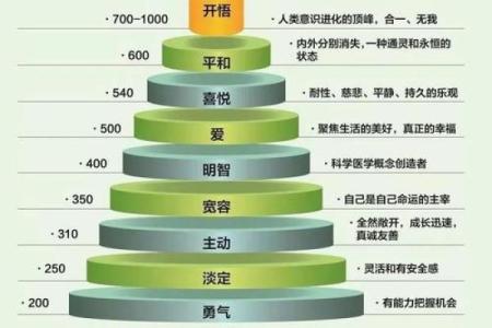 人之三属性：命、性、运的深刻解读与人生感悟