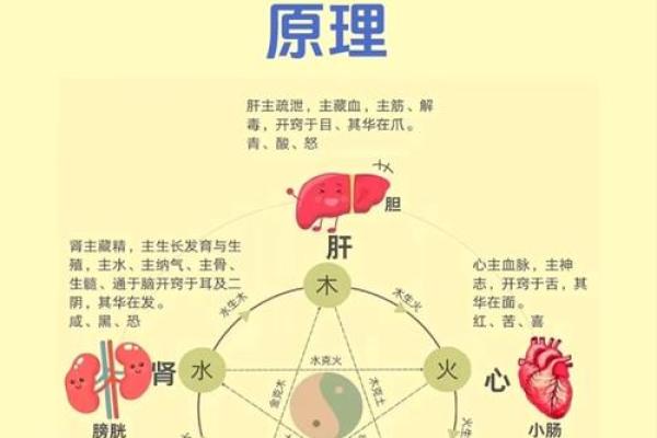 七月十五日出生的人五行命理解析：揭示运势与性格特征