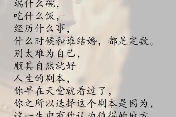 《命运的安排：深度解析《没那种命》的情感世界》